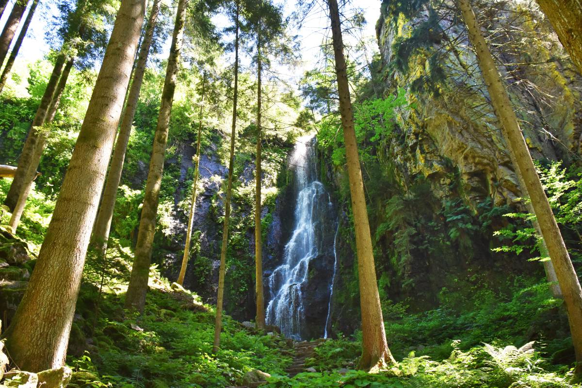 Ausflugstipps für die Familie - Hirschen Oberwolfach Webseite
